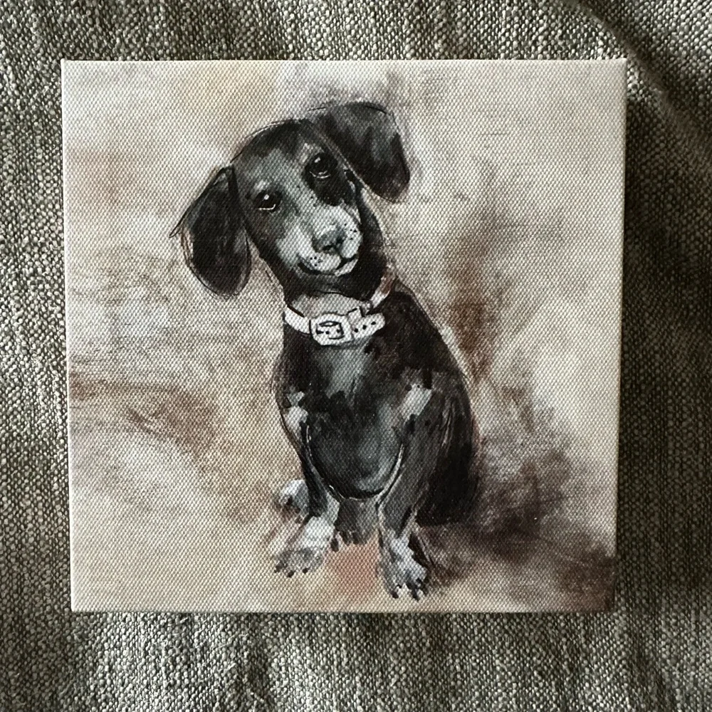 Black and White Dog Canvas Art - Picture 1 of 2
